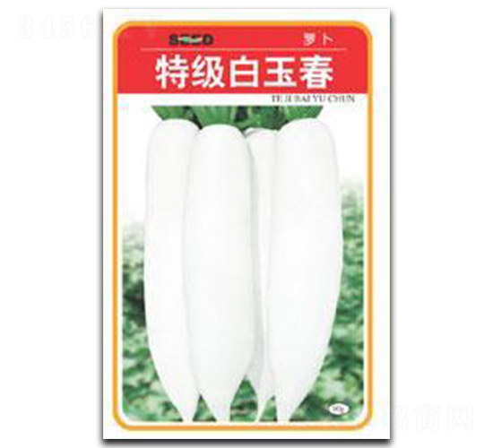 �ؼ�����-�}���N��-����N�I(y��)