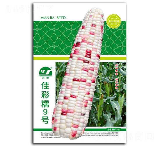 �Ѳ�Ŵ9̖(h��o)-���׷N��-����N�I(y��)