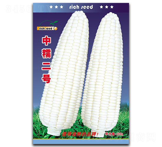 中糯二號(hào)-玉米種子-瑞奇種業(yè)