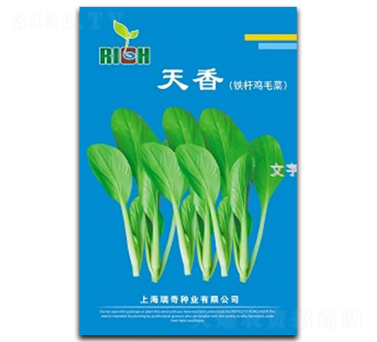 ����-�uë�˷N��-����N�I(y��)