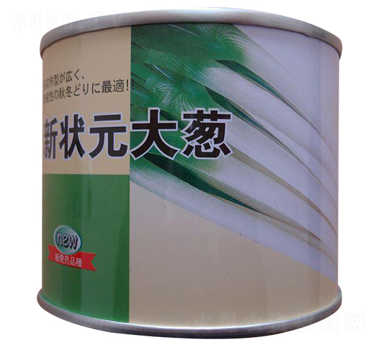 新?tīng)钤笫[-大蔥種子-瑞奇種業(yè)