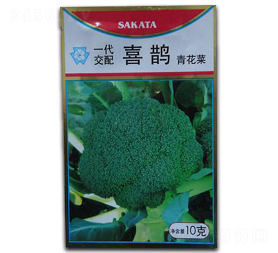 喜鵲-西蘭花種子-瑞奇種業(yè)