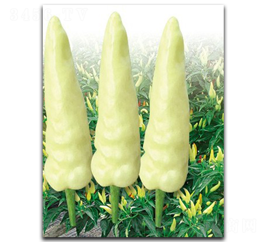 ��������-�����N��-����N��