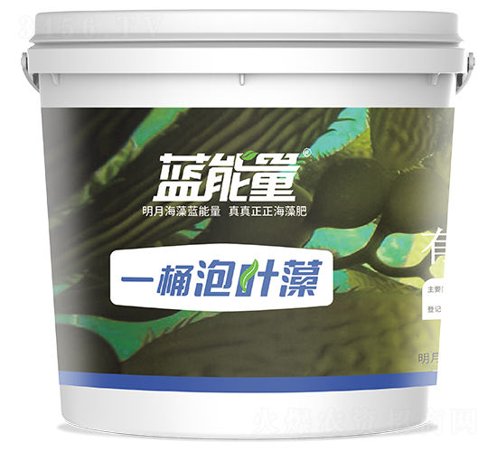 一桶泡葉藻-藍(lán)能量