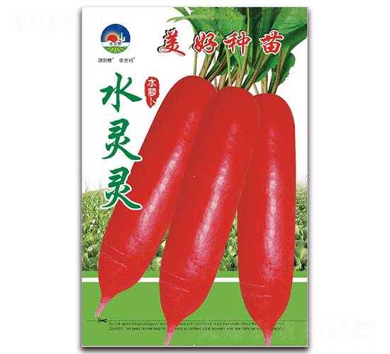 ˮ�`�`-ˮ�}���N��-���÷N��