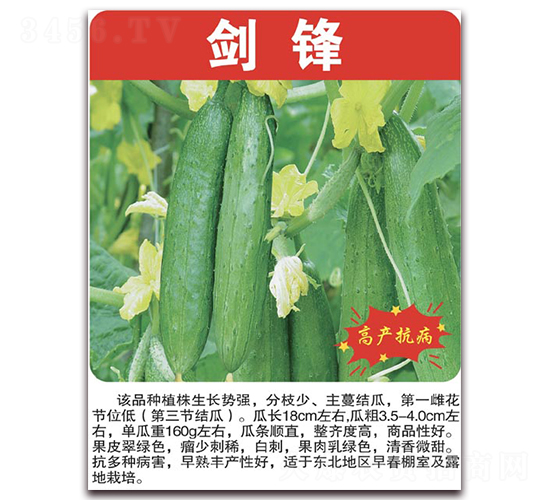 ����-�S�ϷN��-���÷N��