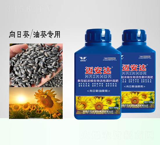向日葵油葵新型超濃縮生物活性菌肥-邁安達(dá)