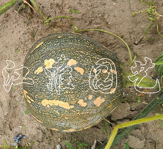 �P��214-�ϹϷN��-�����@ˇ