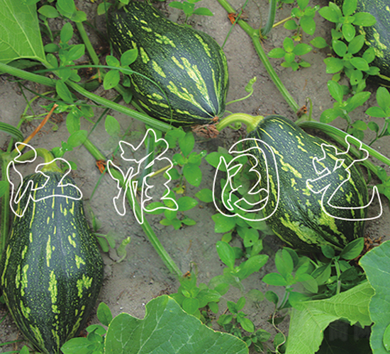 ����1̖-�ϹϷN��-�����@ˇ