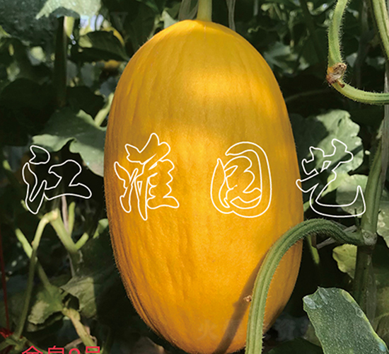 ��Ȫ2̖-��ϷN��-�����@ˇ