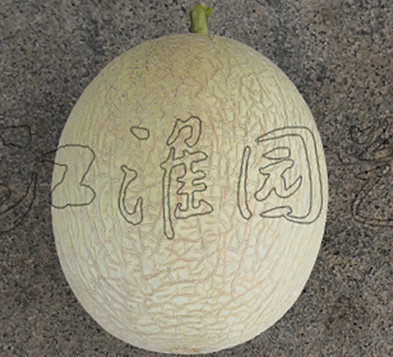 ������8̖(h��o)-��ϷN��-�����@ˇ