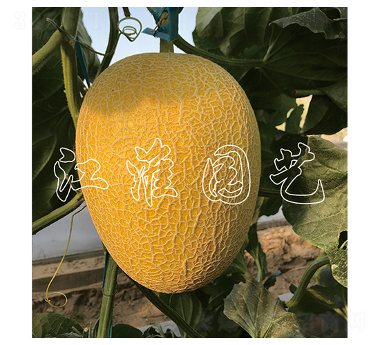 ������9̖-��ϷN��-�����@ˇ