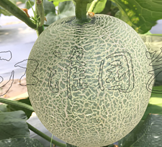 ����2̖-��ϷN��-�����@ˇ