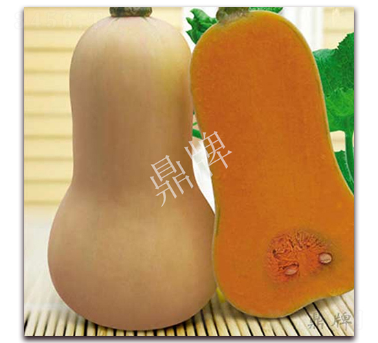 �����۱�1̖-�ϹϷN��-���ƷN��