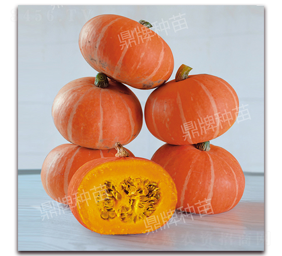 �t��1̖(h��o)-�ϹϷN��-���ƷN��