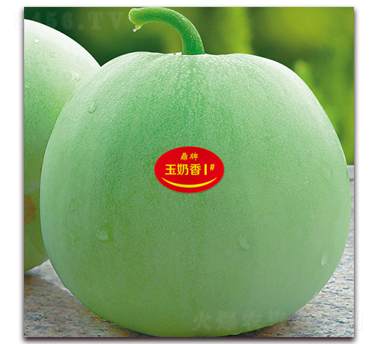 ������1̖(h��o)-��ϷN��-���ƷN��