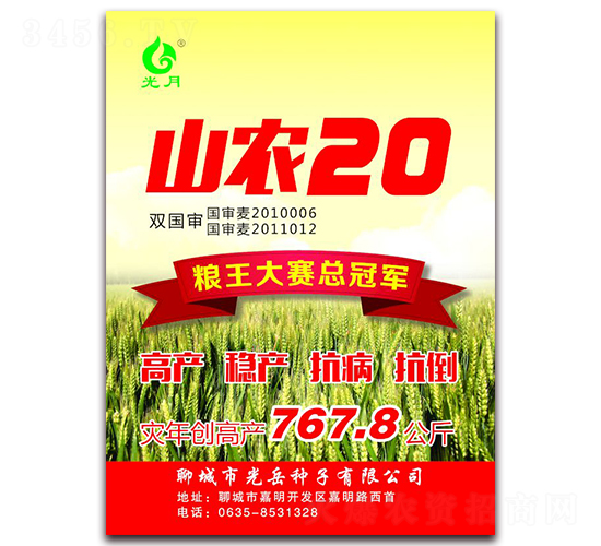 山農(nóng)20-小麥種子-光岳種子