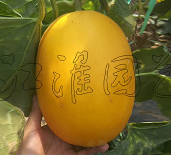 ��ͯ2̖-��ϷN��-�����@ˇ