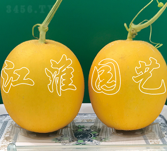 ��ͯ7̖-��ϷN��-�����@ˇ