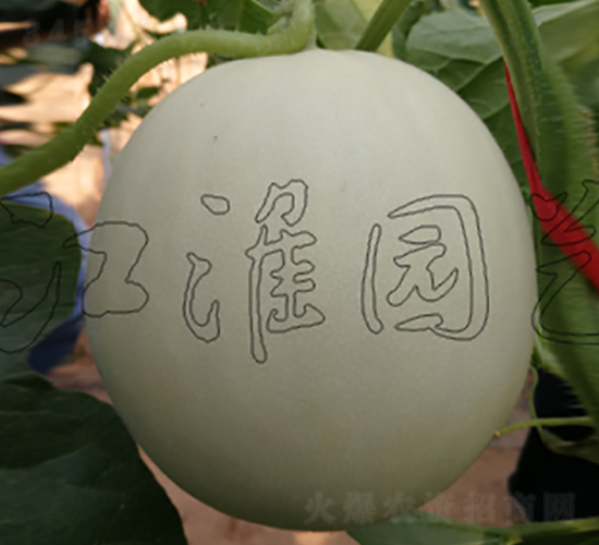 ���Sһ̖-��ϷN��-�����@ˇ