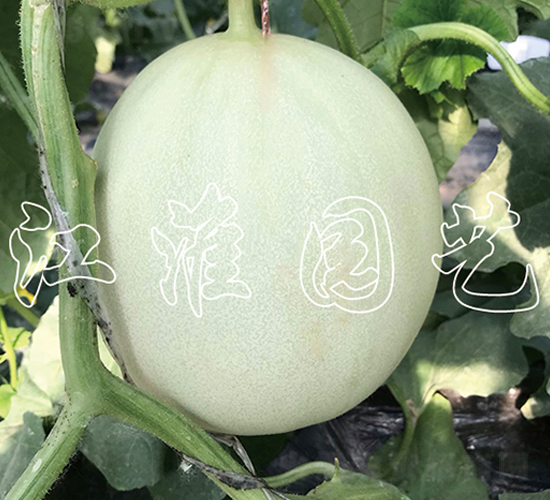 �y��3̖(h��o)-��ϷN��-�����@ˇ