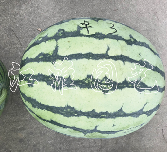 ׿Խ3̖-���ϷN��-�����@ˇ