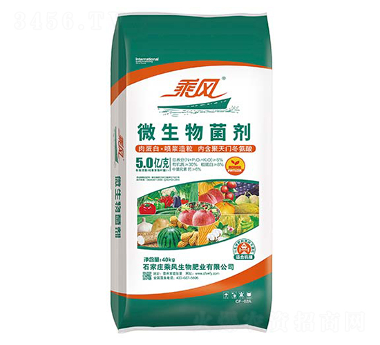 5�|��΢�������-���L(f��ng)����