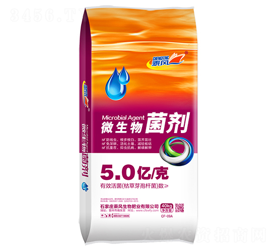 5�|���΢�������-���L(f��ng)����