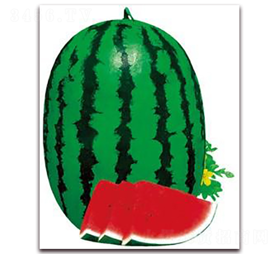 �������-���ϷN��-���i�N�I(y��)