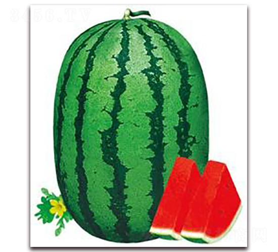 �G������-���ϷN��-���i�N�I(y��)