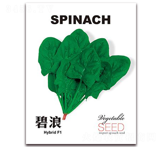 ����-���˷N��-���i�N�I(y��)