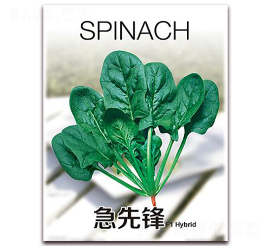 �����h-���˷N��-���i�N�I(y��)