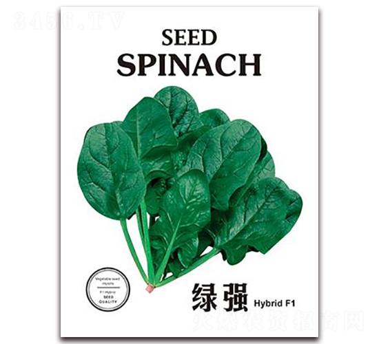 �G��-���˷N��-���i�N�I(y��)