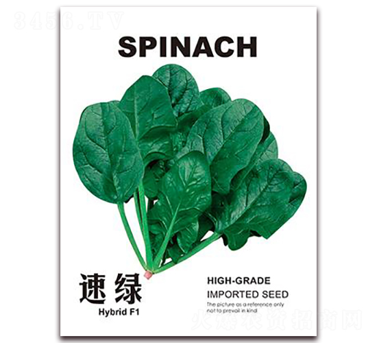 �پG-���˷N��-���i�N�I(y��)