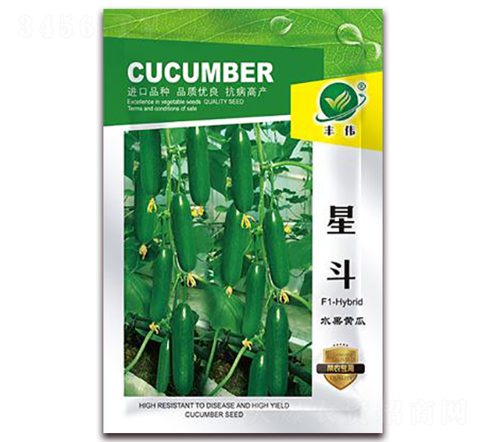 星斗-水果黃瓜種子-金鵬種業(yè)