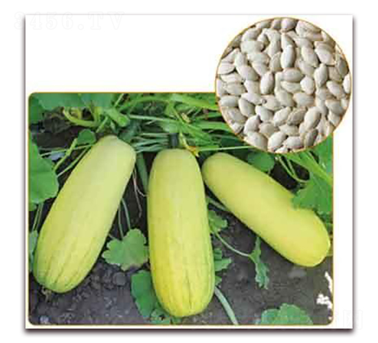 �S��698F1-���������J�N��-���i�N�I(y��)