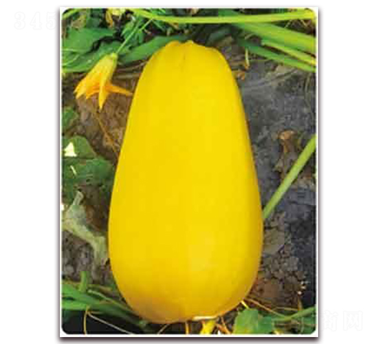 �S��P-10F1-���������J�N��-���i�N�I(y��)