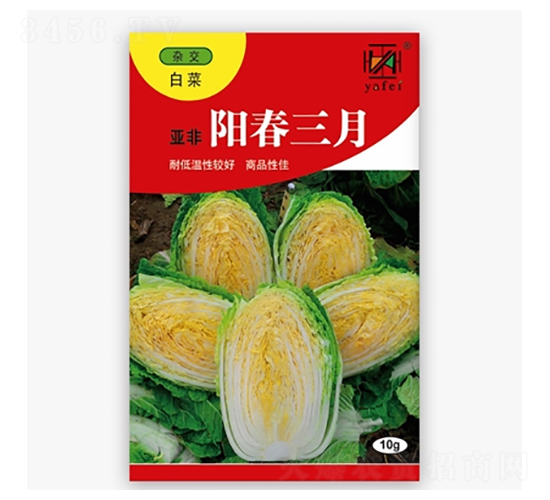 �(y��ng)������-�ײ˷N��-����