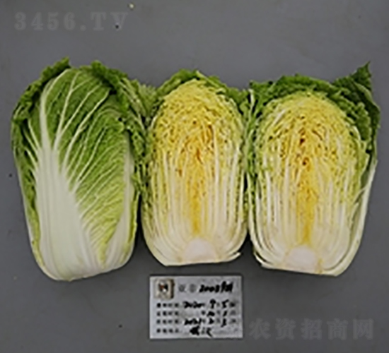 ����20039-�ײ˷N��-����