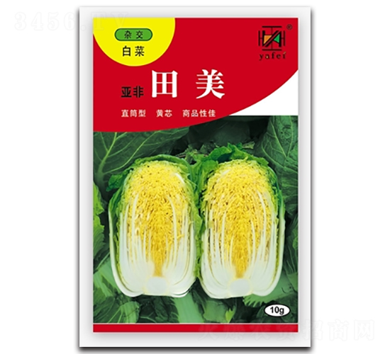 田美-白菜種子-亞非