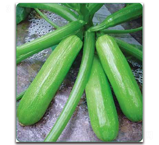 ����-���������J�N��-���i�N�I(y��)