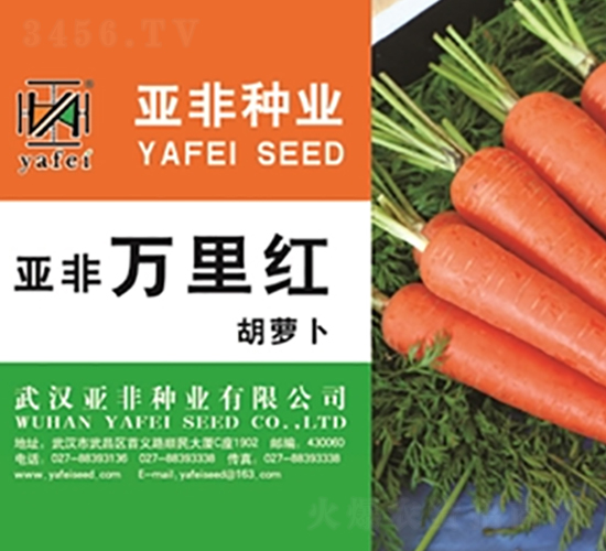 �����f��t-���}���N��-����