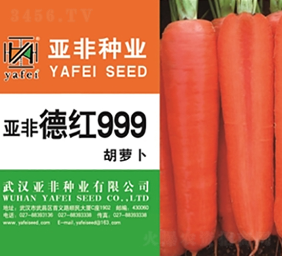 �¼t999-���}���N��-����