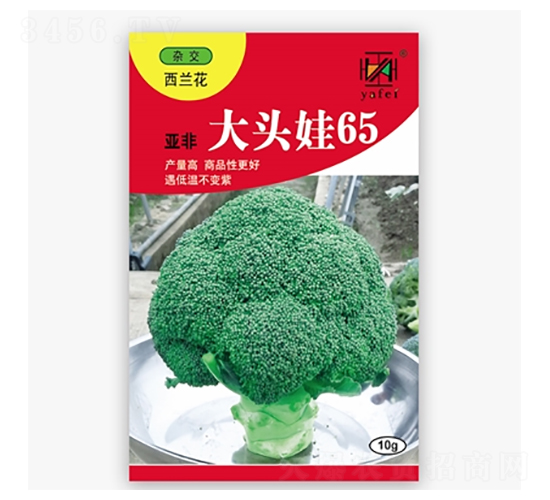 大頭娃65-西蘭花種子-亞非