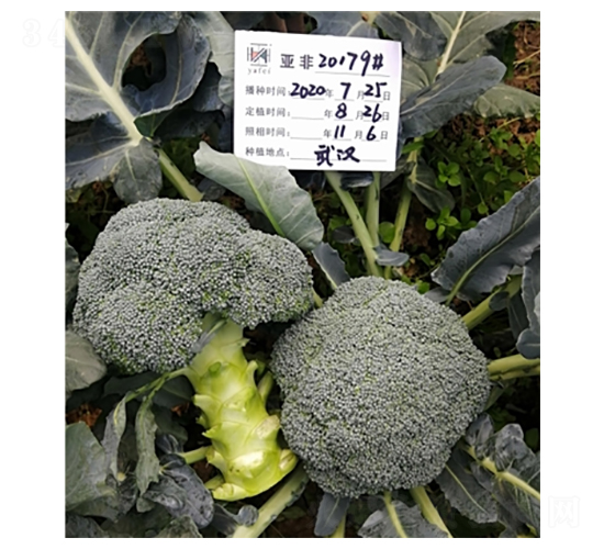 ���m��20179-���m���N��-����