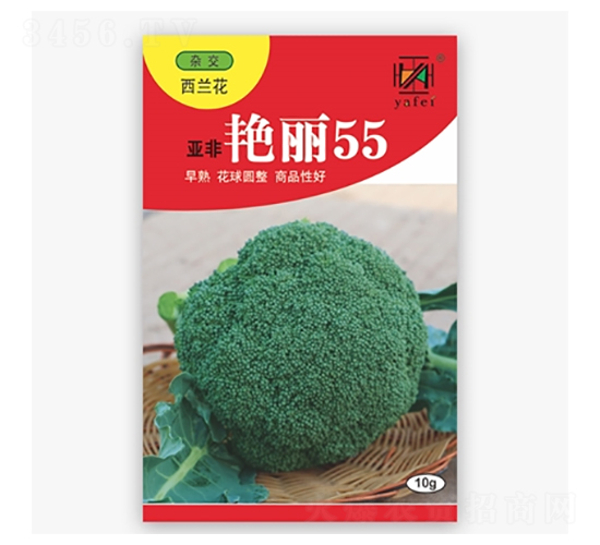 亞非艷麗55-西蘭花種子-亞非