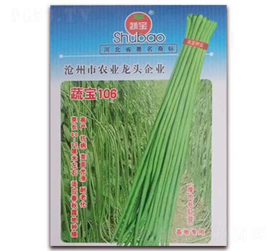 �ߌ�106-�����N��-�ߌ��N�I(y��)