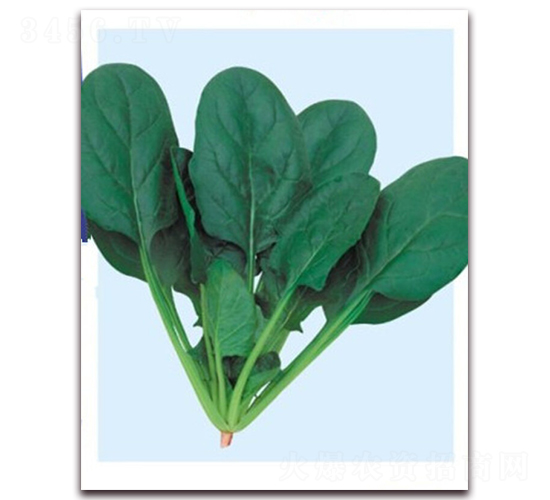 ����-21-���˷N��-�|������