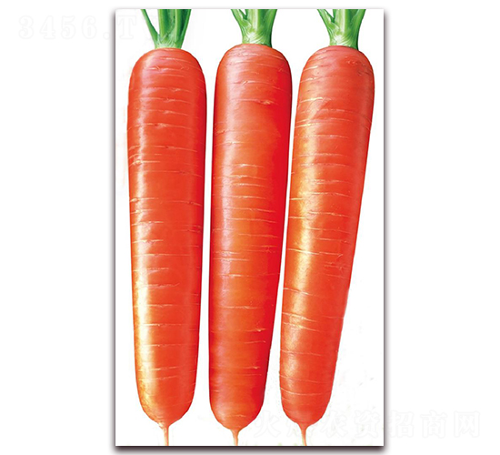 ����172-���}���N��-�|������