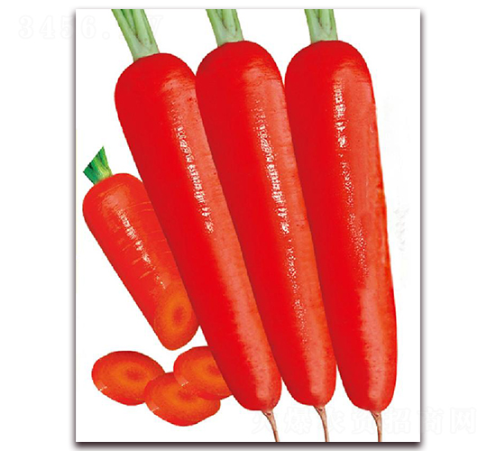 ����һ̖-���}���N��-�|������